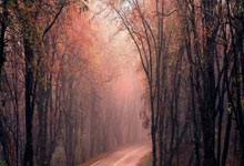 世界杯网投平台 -新疆將(jiāng)开展(zhǎn)纪念红軍(jūn)长征勝(shèng)利(lì)90周(zhōu)年老兵(bīng)宣讲活(huó)动