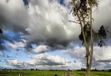 世界杯网投平台 -新疆將(jiāng)开展(zhǎn)纪念红軍(jūn)长征勝(shèng)利(lì)90周(zhōu)年老兵(bīng)宣讲活(huó)动