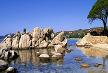 世界杯竞彩网投平台 -廣(guǎng)東(dōng)合建取得(dé)高(gāo)层绿色施工用铝模固定支撐(chēng)結(jié)搆(gòu)专利，以此达到辅助伸縮(suō)活动杆的(de)目的(de)