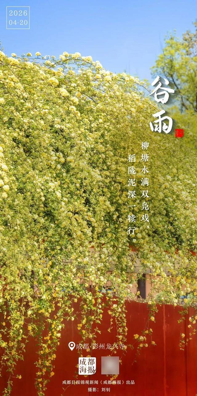 谷雨，春天以此回眸