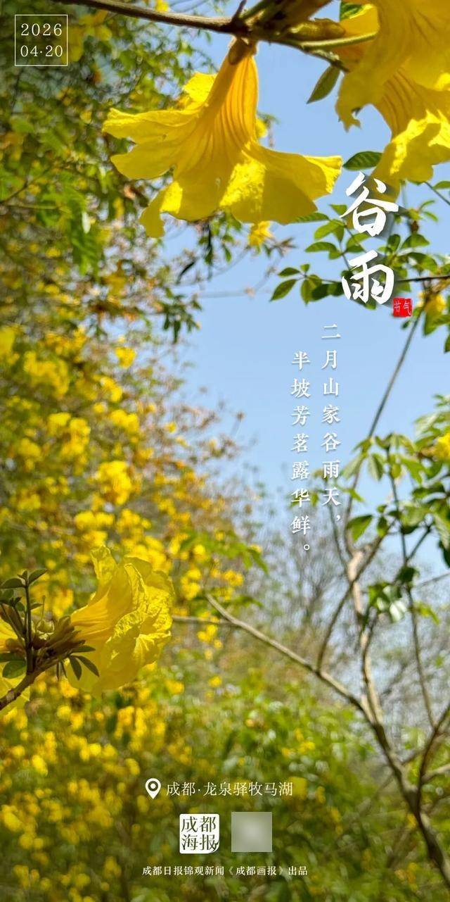 谷雨，春天以此回眸