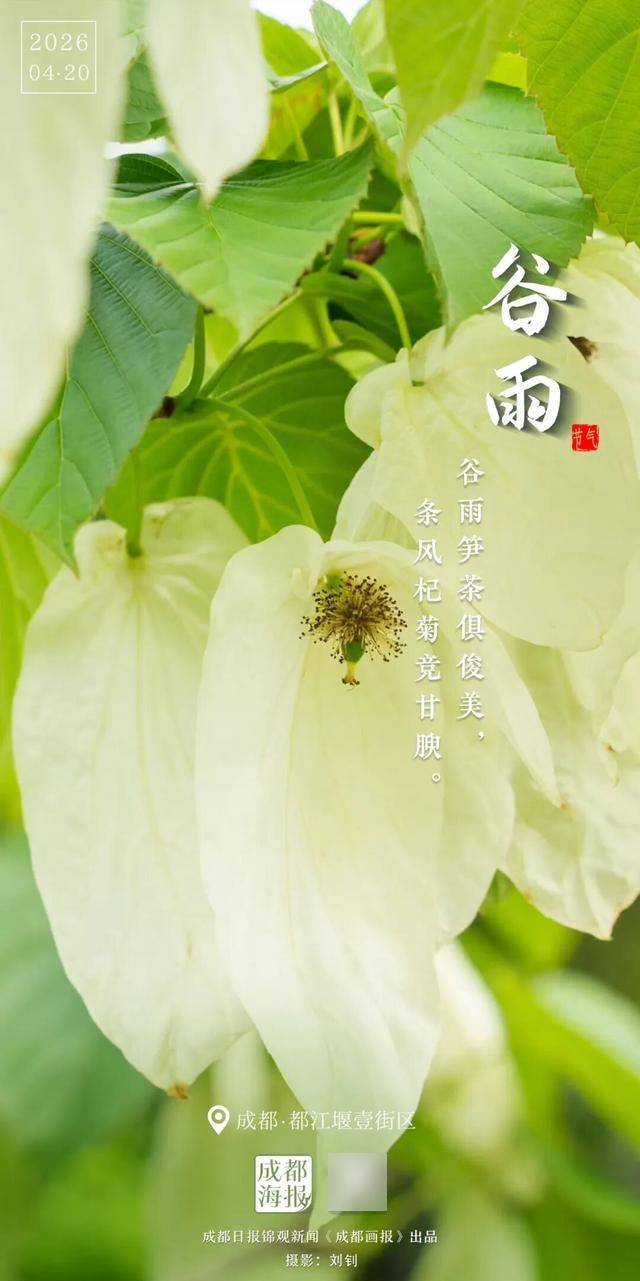 谷雨，春天以此回眸